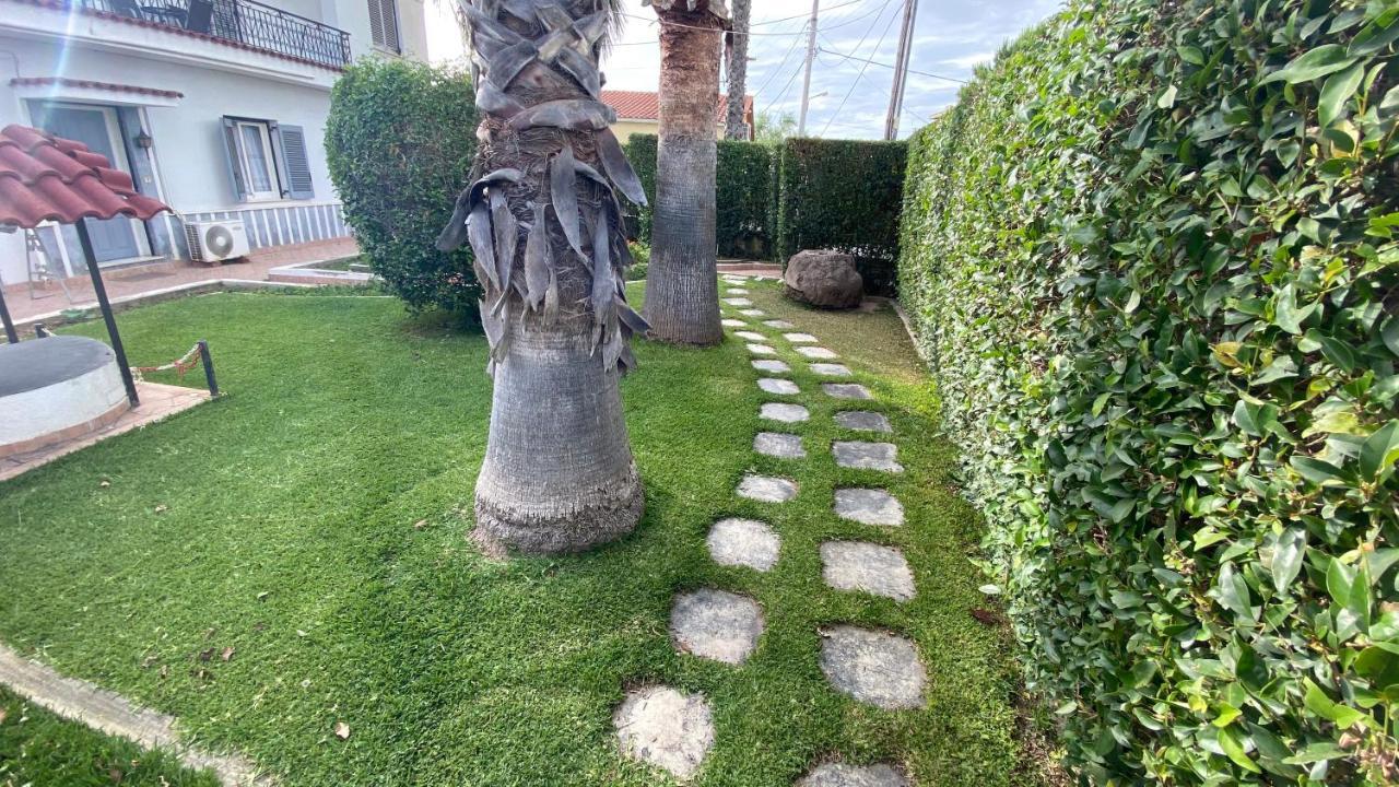 דירות Patras Palm Tree מראה חיצוני תמונה