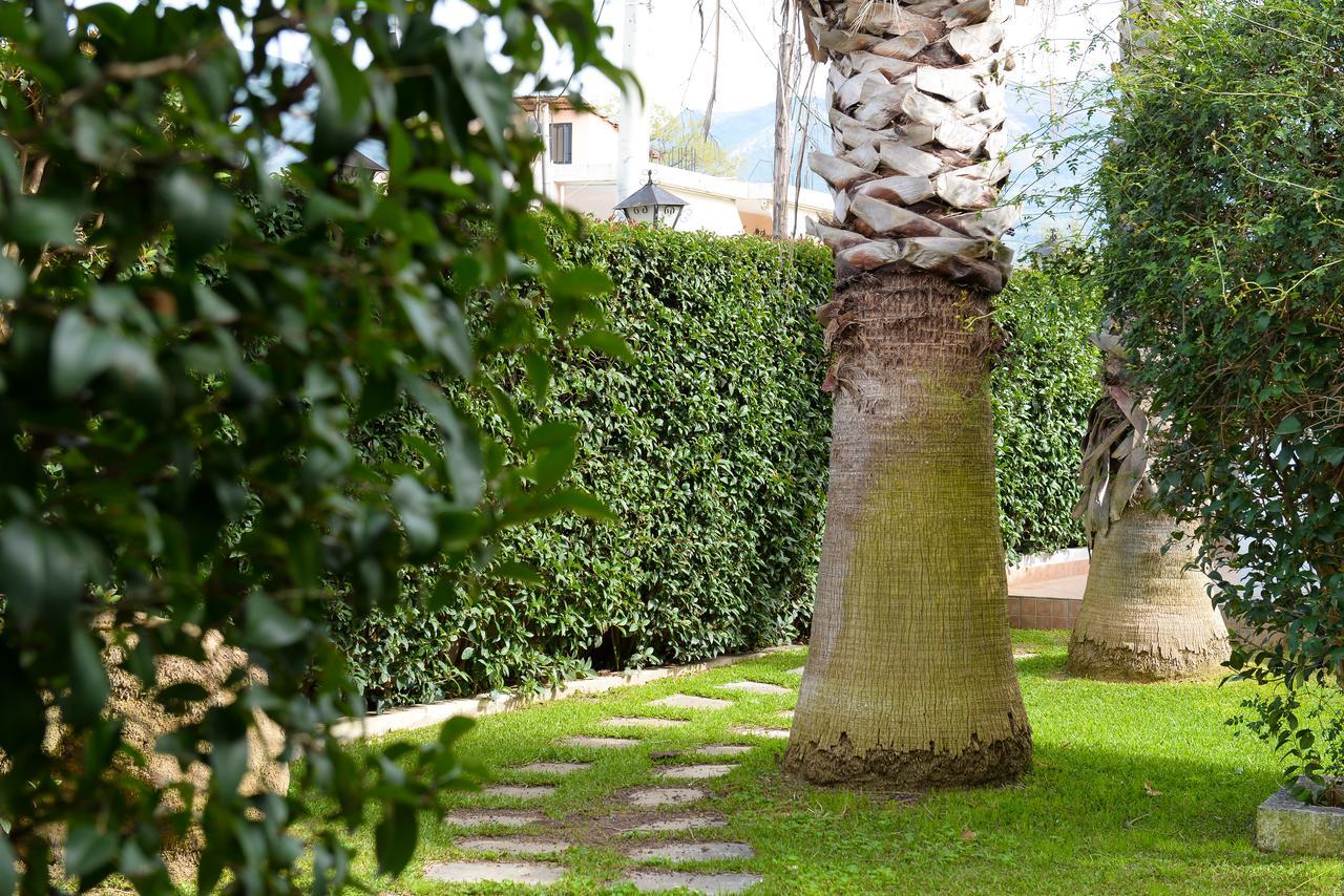 דירות Patras Palm Tree מראה חיצוני תמונה